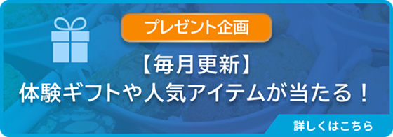 プレゼント企画 【毎月更新】体験ギフトや人気アイテムが当たる！